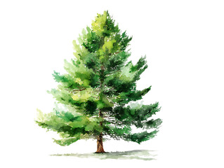 watercolor pine tree nature inspired artwork