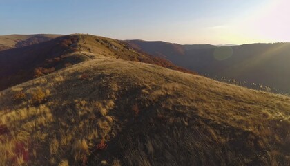Desert road stretching to horizon under bright sunlight