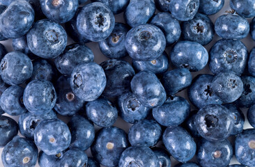 Fresh Blueberry Background Texture - Close Up