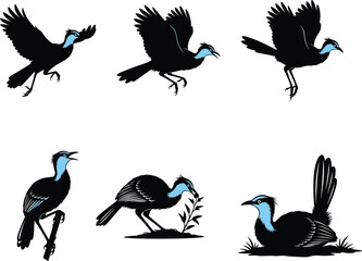 Elegant Blue-Throated Bird Vector Illustrations in Various Poses, Including Flying, Perching, and Ground Feeding for Nature and Wildlife Designs
