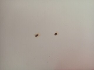 Minimalist Light Surface with Two Dark Spots Damage