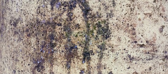 Distressed Yellow Porous Wall Texture with Dark Mold Stains