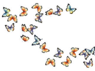 Adobe Illustrator Artwork