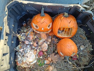 Compost Moment After Halloween – Waste Pumpkins and Autumn Decay