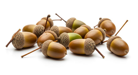 Pile of acorns isolated on white background, showcasing the natural beauty and intricate details of autumns bounty, with a mix of brown and green hues
