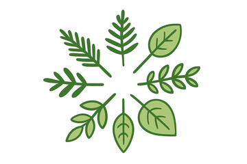 Stylized radial botanical design featuring diverse green leaves and sprigs