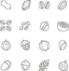 Fototapeta premium Nut and seed icon set with peanuts, acorns, cocoa pods, and pine cones in minimal black line style for food and botanical design