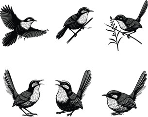 Vector Illustration of Songbirds in Flying, Singing, and Perching Poses with Botanical Elements for Nature, Wildlife, and Artistic Design