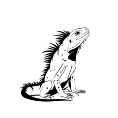 Obraz premium Iguana. Iguana simple black and white line art vector logo