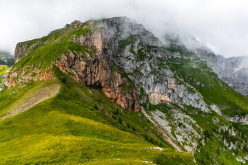 lush green alpine plateau with mountain peak covered by clouds. scenic mountain landscape with vibrant green meadow and rocky cliffs