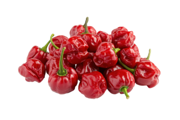 Pile of ripe red scotch bonnet peppers isolated on transparent background.