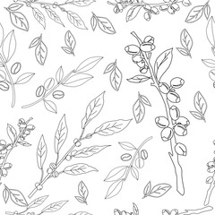 Seamless floral pattern. Branch with leaves. vector illustration of coffee branch. Coffee plant branch with leaf. Hand drawn Coffee tree vector. Coffee beans and leaves. Branch of a plant.	
