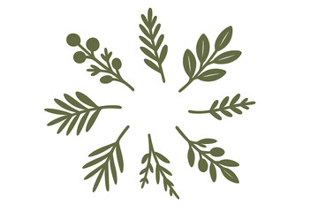 Stylized collection of various green leaves and berry branches forming a circular frame