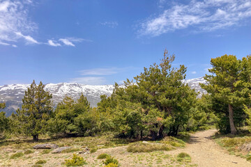 Obraz premium Hiking trail to Mulhacen peak in the spring in Sierra Nevada National Park, Spain