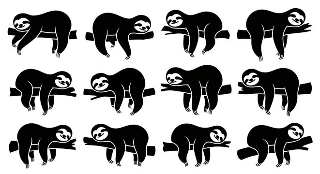 Set of twelve adorable sloths in various sleeping and resting poses on branches.