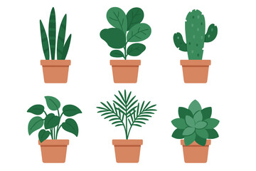 Six different popular potted houseplants collection isolated on white background