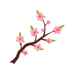 Fototapeta premium soft pink cherry blossom branch vector illustration