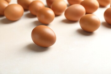 Many raw chicken eggs on light table, closeup