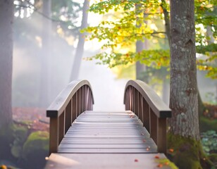 Wooden bridge in a misty autumn forest