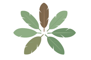 Symmetrical arrangement of stylized feathers in earthy green and contrasting brown tones forming a circular pattern