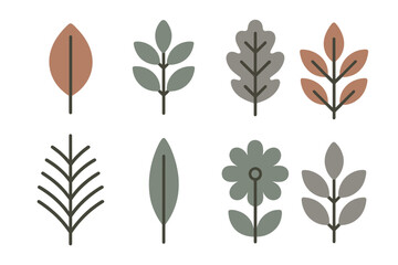 Collection of stylized botanical elements in earthy tones for minimalist design