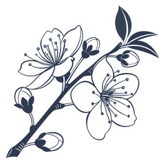 Elegant dark blue line art illustration of a blooming cherry blossom branch with delicate flowers and buds