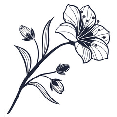 Elegant dark blue line art illustration of a blooming flower with buds and leaves on a white background