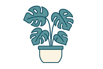 Minimalist potted Monstera deliciosa houseplant with large split leaves