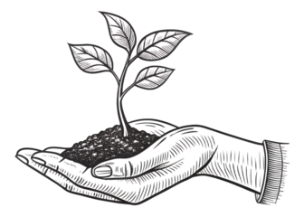 Eco Hand Holding Plant Sprout Icon - Sustainability Growth Symbol Vector Line Art