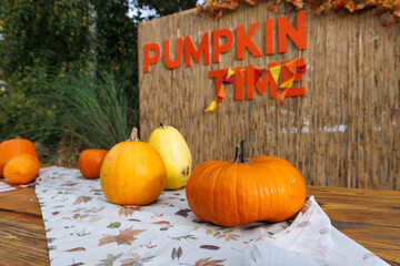 A Vibrant Celebration of Fall: Pumpkins Displayed with 'Pumpkin Time' Sign Perfect for Seasonal Festivities and Autumn Gatherings