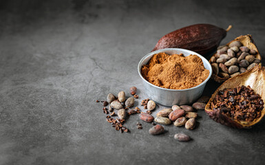 cocoa powder with cocoa bean and cocoa nibs, cacao pods on gray background