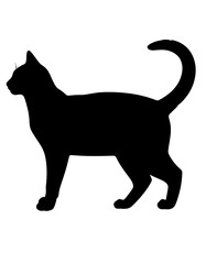 Black cat silhouette