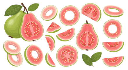 Illustration of whole and sliced guavas with pink flesh, including rings, halves, and wedges, scattered with green leaves on a white background.