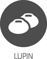 Lupin Bean Legume Food Icon Concept