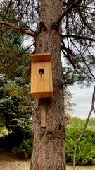 Wooden Birdhouse Mounted on Pine Tree Trunk in Forest or Park. Nature, Ecology, Home, Wildlife, Nest