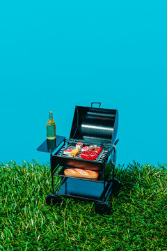 Toy barbecue grill with meat bread and beer outdoors on summer grass