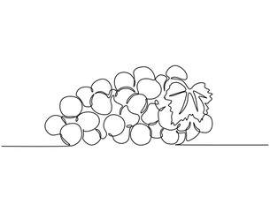 Continuous one line drawing of grapes fruit. One line drawing illustration of bunch of grapes. Healty fruit concept single line. Editable outline