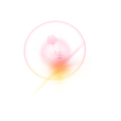 Dynamic abstract burst with vibrant yellow to pink gradient and circle, perfect for creative projects needing an eye-catching element
