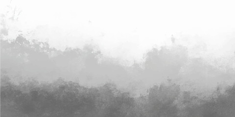 Mountain fog and mist blanket the forest under a blue sky with light from the morning sun