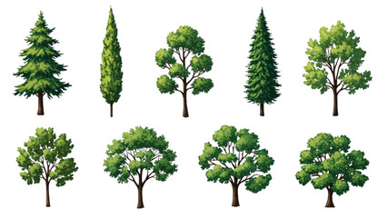 Top View Green Trees Vector Set &ndash; Botanical Elements for Outdoor Plan, Map, and Architecture Drawing