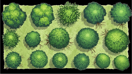 Top View Green Trees Vector Set – Botanical Elements for Outdoor Plan, Map, and Architecture Drawing © Stock Image Paradise
