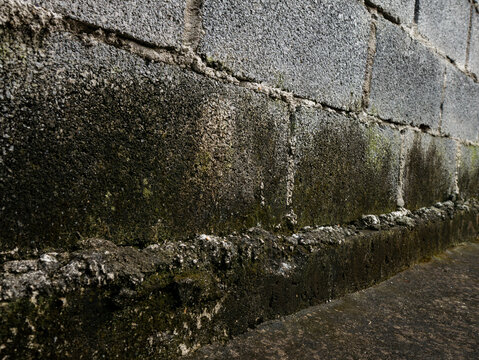 Moisture damage and mold growth on concrete wall foundation - Damp building problem with water seepage and deterioration issues