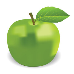 Apple fruit realistic vector illustration