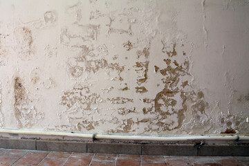 Wall with Damp Stains and Saltpeter Efflorescence Caused by Rising Capillary Moisture