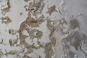 Wall with Damp Stains and Saltpeter Efflorescence Caused by Rising Capillary Moisture