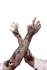 The zombies hand with wounds and blood try to reach something isolated over a white background. Zombie, devil, evil, satan, or monster hand. Concept of Halloween or Horror