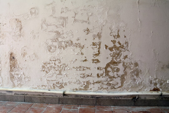 Wall with Damp Stains and Saltpeter Efflorescence Caused by Rising Capillary Moisture