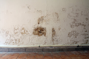 Wall with Damp Stains and Saltpeter Efflorescence Caused by Rising Capillary Moisture