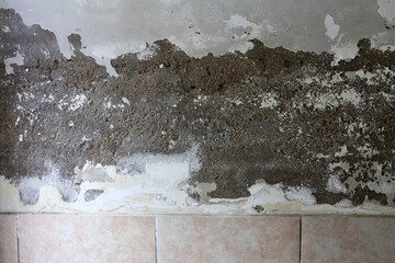 Severely Damaged Wall with Plaster Loss Caused by Rising Capillary Moisture 