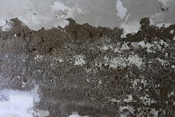 Severely Damaged Wall with Plaster Loss Caused by Rising Capillary Moisture 
